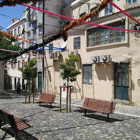 Jasmim * Лісабон