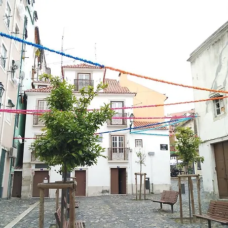 Jasmim * Lisbon